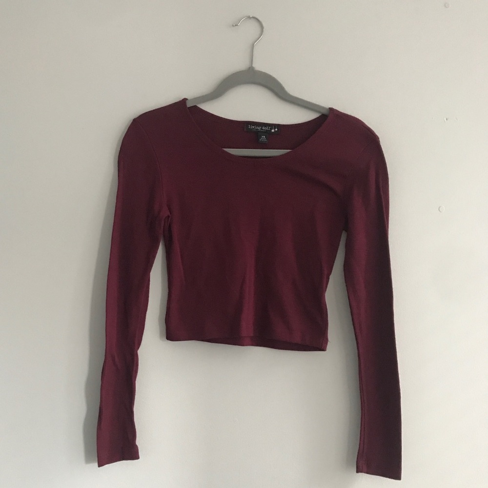 Long Sleeved Crop Top